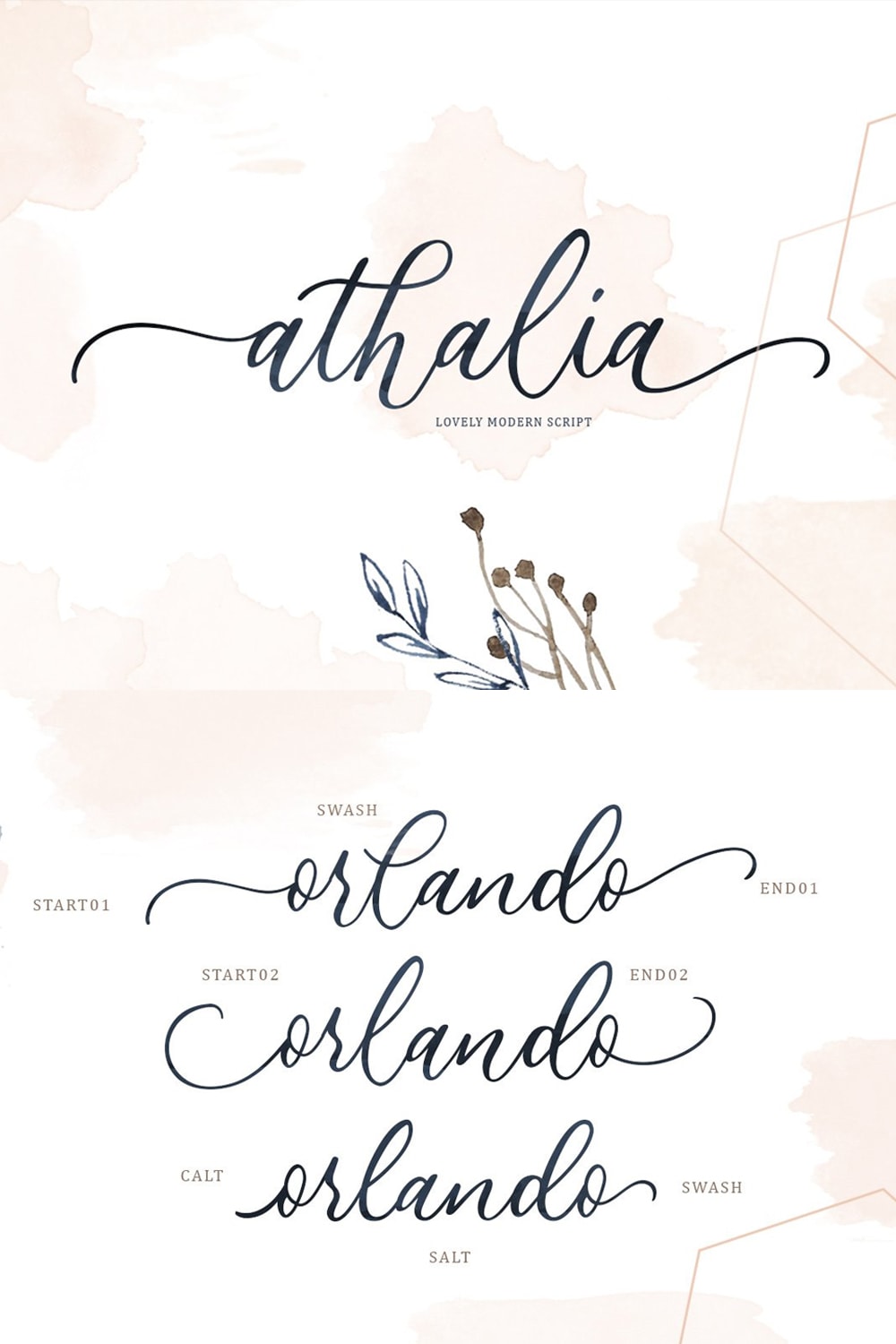 Athalia Modern Calligraphy Script Font Free Script Fonts