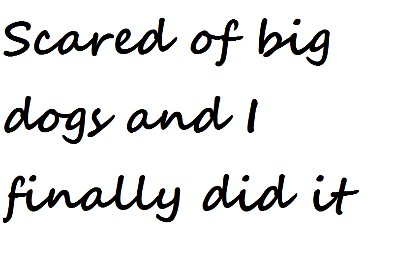 Chest of Randomness Scared of big dogs and I finally did it