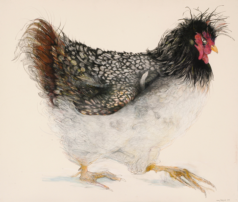 C r e a t i v e W o n d e r Chickens Rule! . . . what fun and beauty