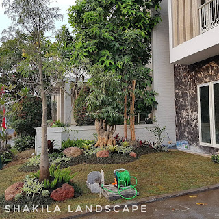 Shakila Landscape