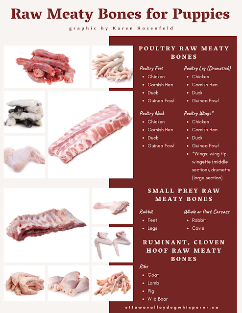 Raw meaty bones for puppies chart