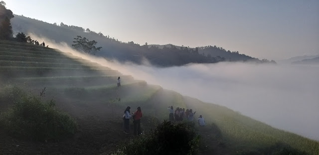5 suggestions for the complete Mu Cang Chai trip