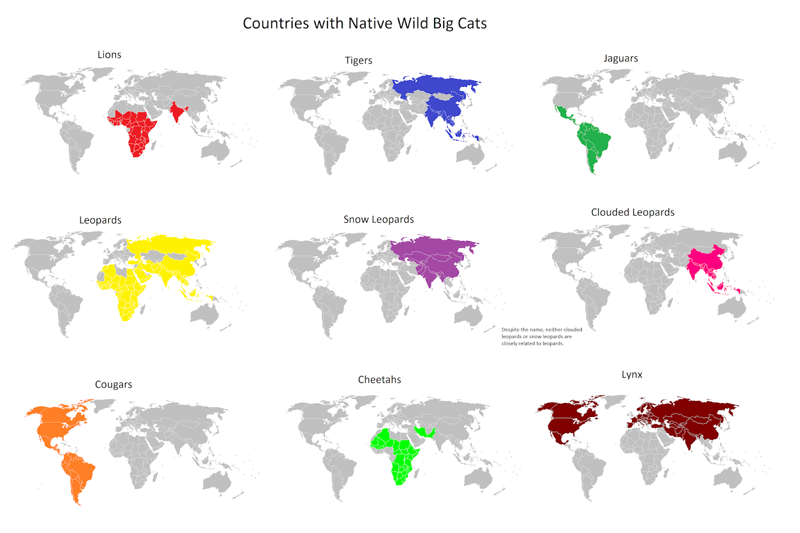 Nations with native wild big cats