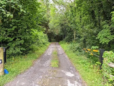 Things to do near Athlone: Path to Brittas Lake near Clonaslee