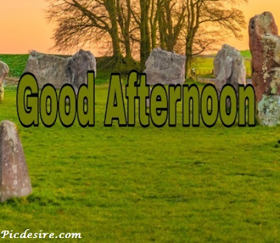 Best 50 Good Afternoon Images 2020 || Good Afternoon Images for Whatsapp Best 50 Good Afternoon Images 2020 || Good Afternoon Images for Whatsapp