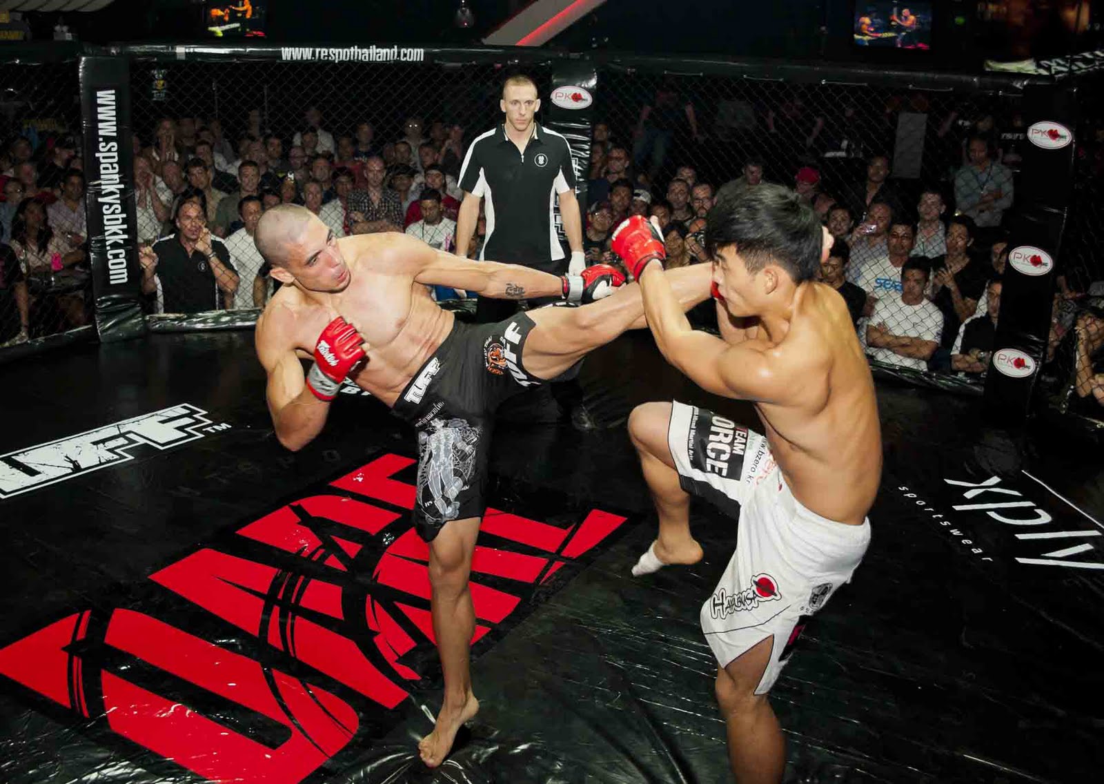 смешанное боевое единоборство мма. рух файтинг. проф бокс. Need fight. Need fight.