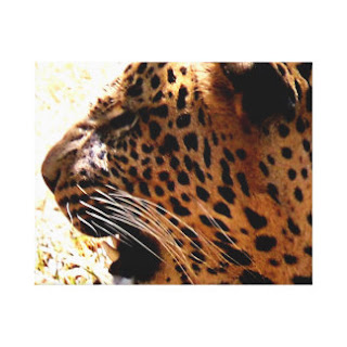 Leopard canvas art
