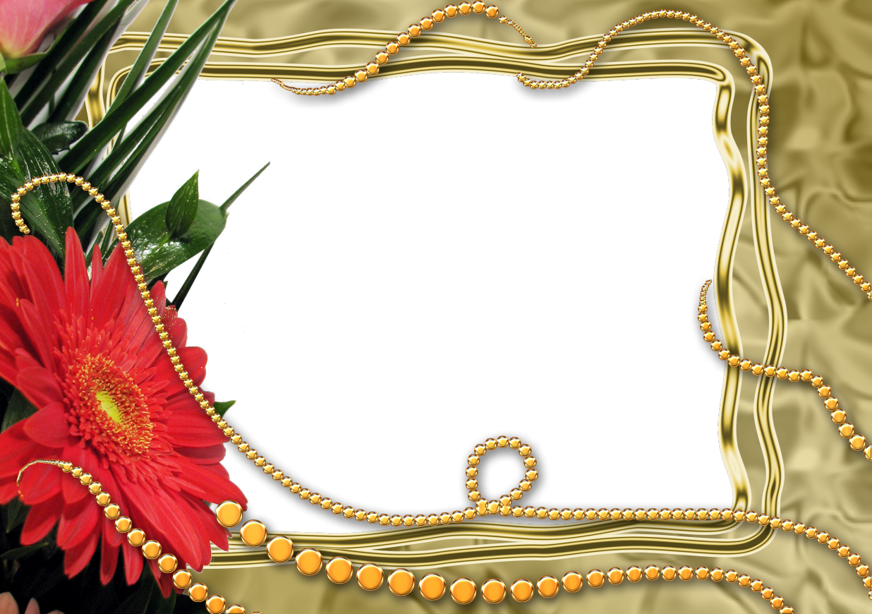 Frames Png Frames