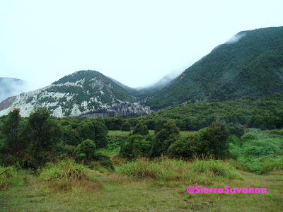 Gunung Papandayan