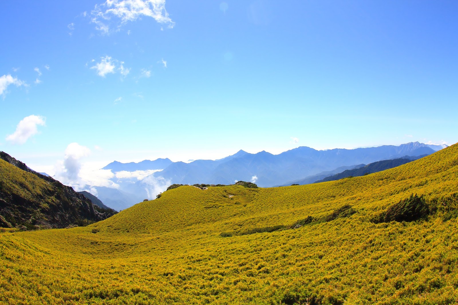 由中央尖山望向奇萊東稜連峰