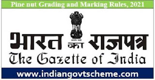 Pine nut Grading and Marking Rules Pine nut Grading and Marking Rules