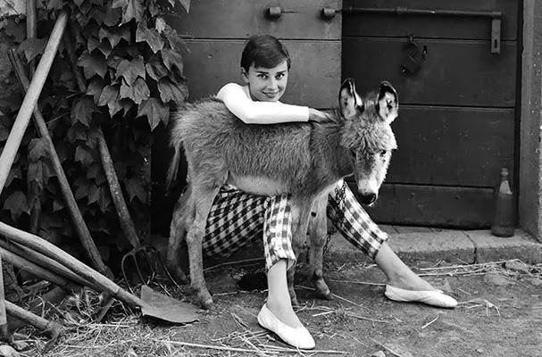 Audrey Hepburn with her pet deer