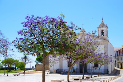 教会と満開のジャカランダの木