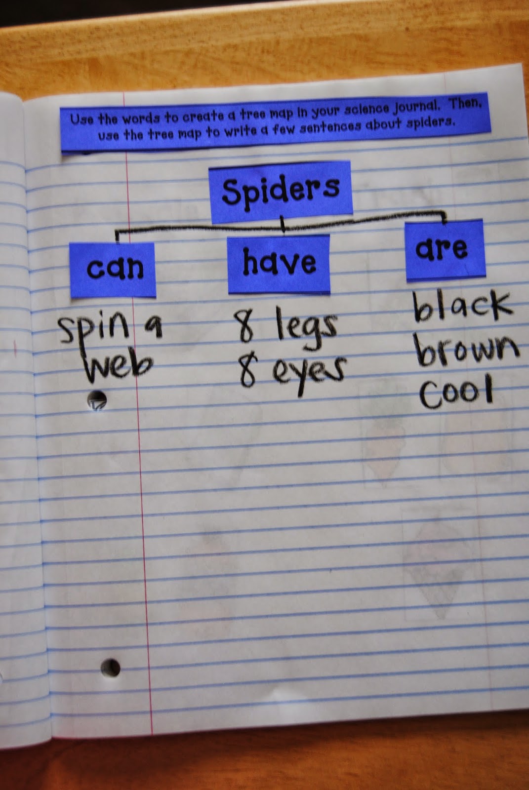 Teaching, Learning, & Loving: May 2014