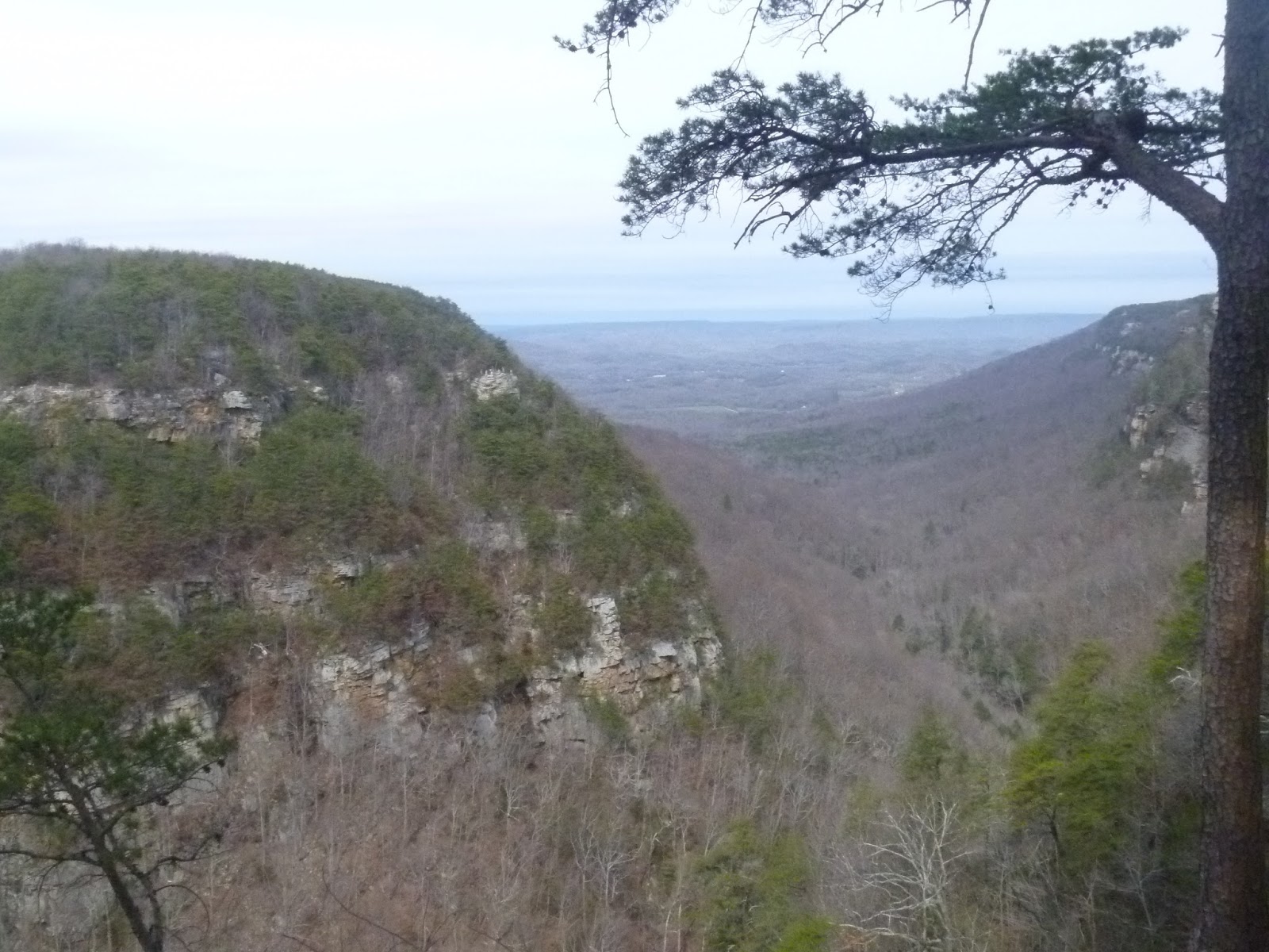 Plum Nelly, Rising Fawn, GA