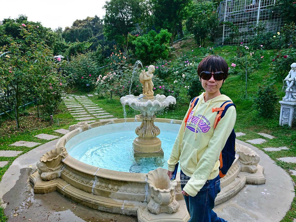 苗栗景點,雅聞七里香玫瑰森林,苗栗親子旅遊