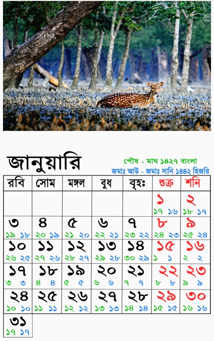 বাংলা ইংরেজি আরবি ক্যালেন্ডার ২০২১ Bangla English Arabi Calendar 2021