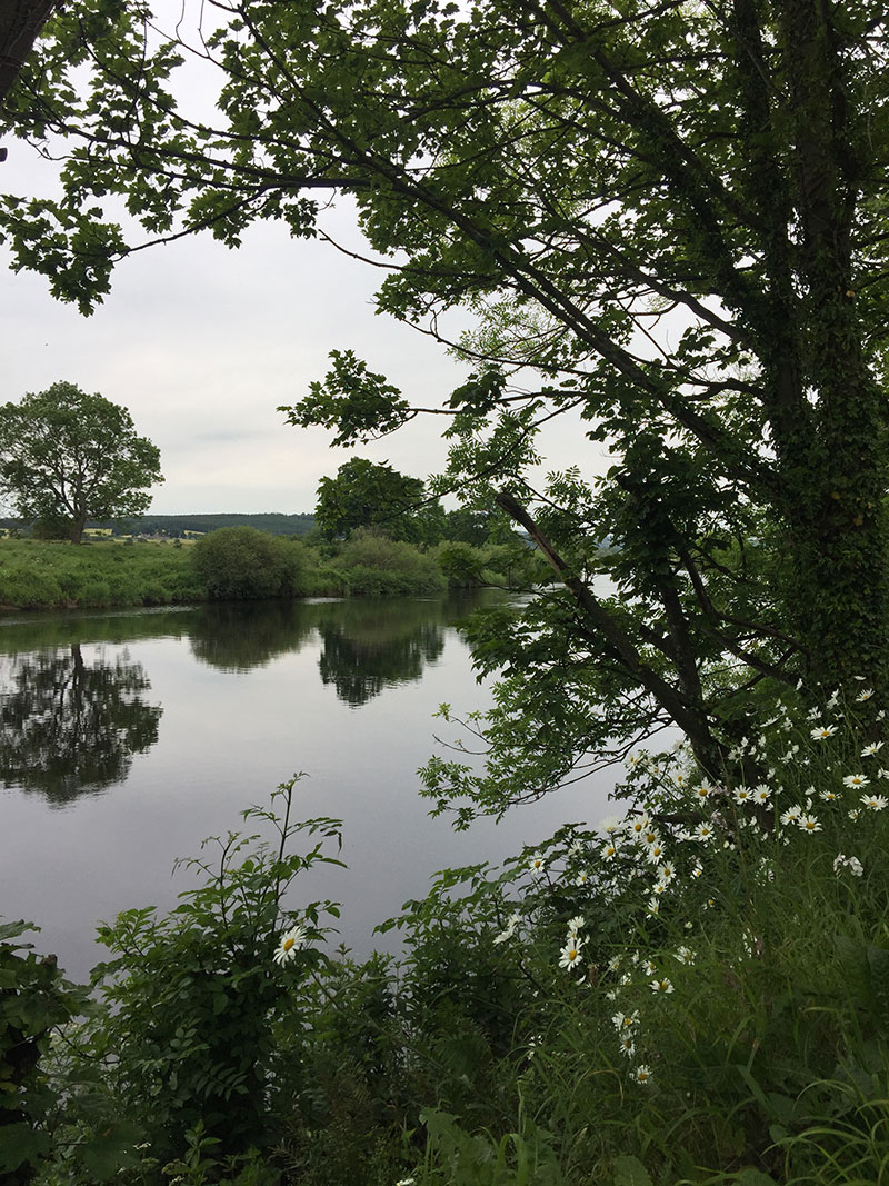 News | Life Lately: A Move to the English Countryside