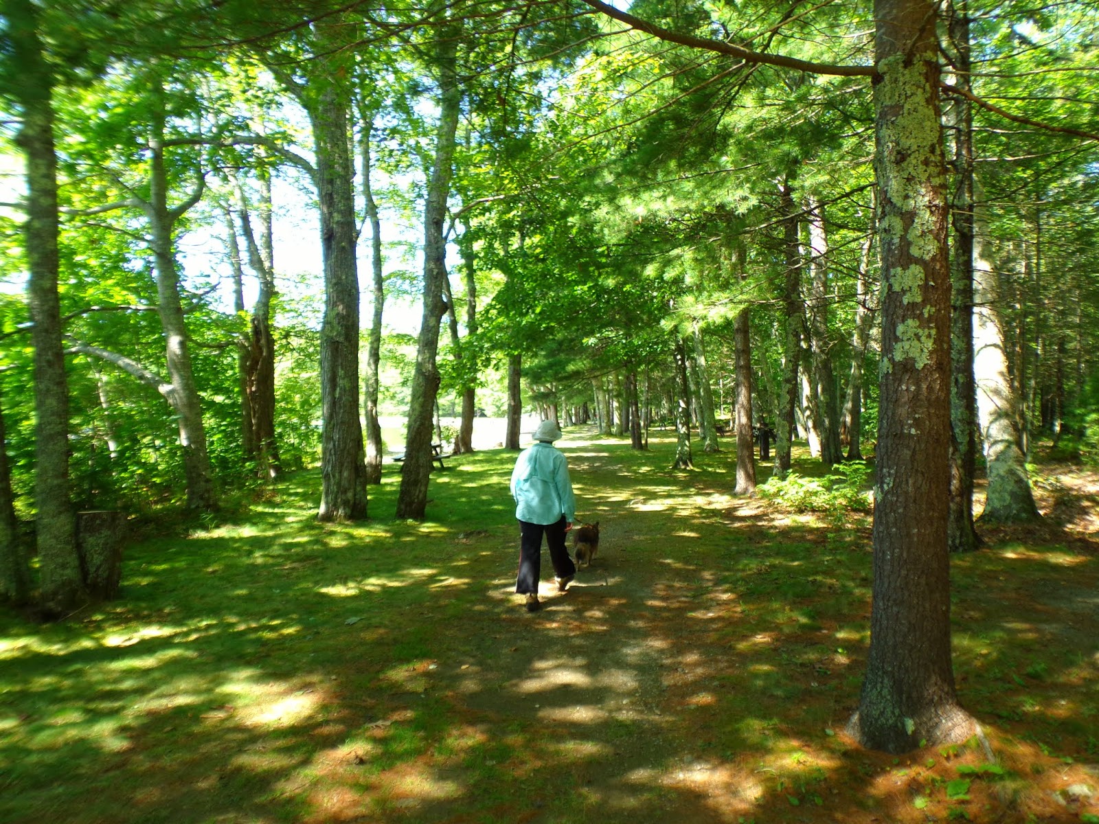 Swan Lake State Park, Swanville, Maine (return visit)