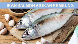Manfaat ikan kembung ternyata lebih bergizi dari ikan salmon.