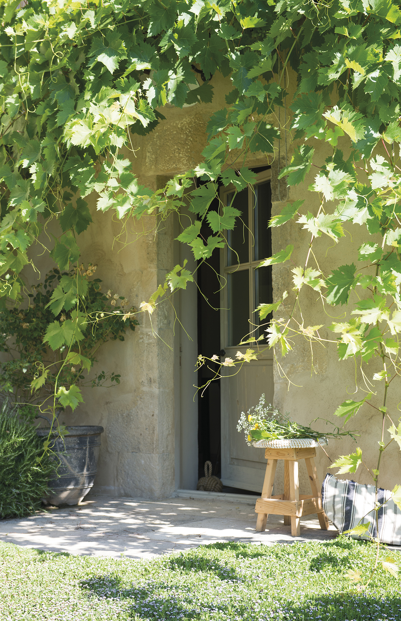 ������� ������� ������� dsc1230_adfacc40.jpg