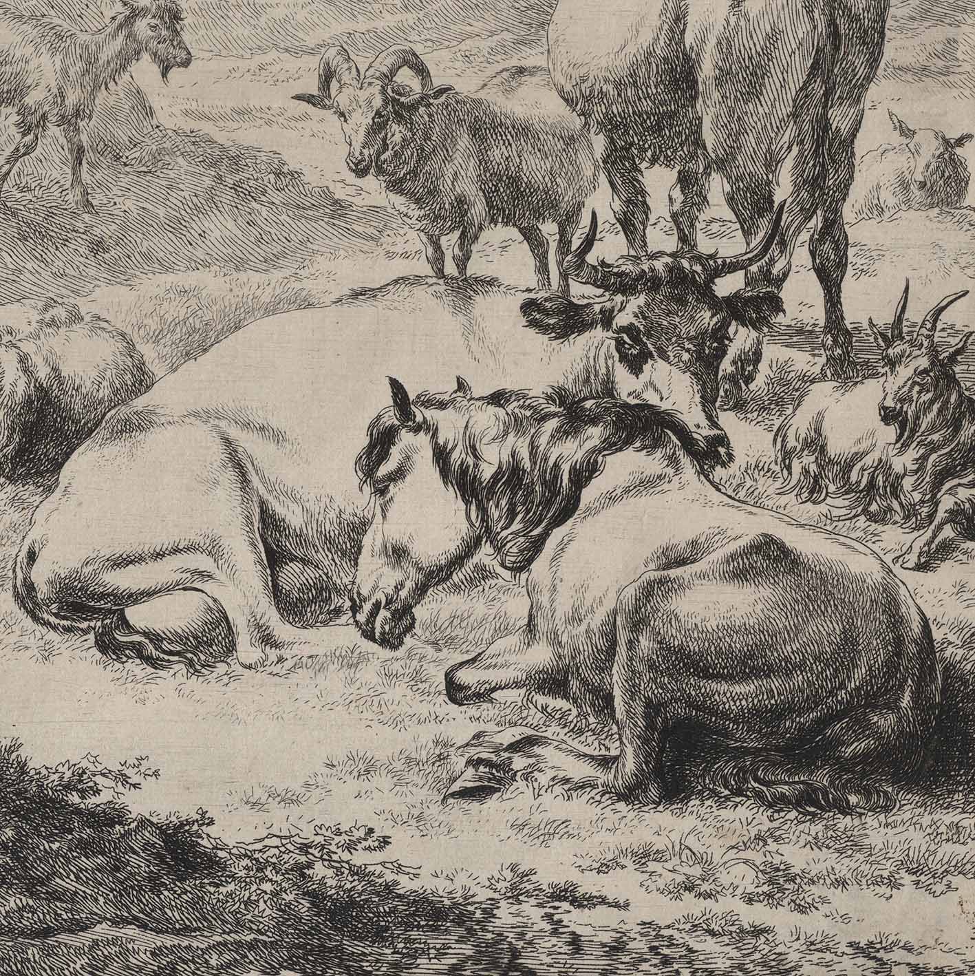 Prints and Principles: Nicolaes Berchem’s etching, “The Resting Herd ...