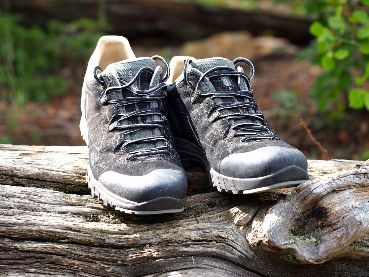 robonza: Review: Lowa Focus LL Lo Trail Shoes