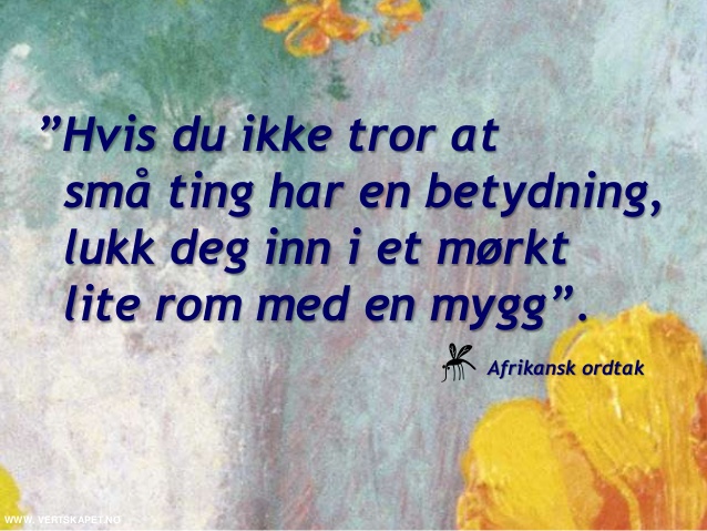 Bilderesultat for dumme ordtak