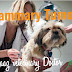 Mammary Tumors -Maaz Veterinary Doctor