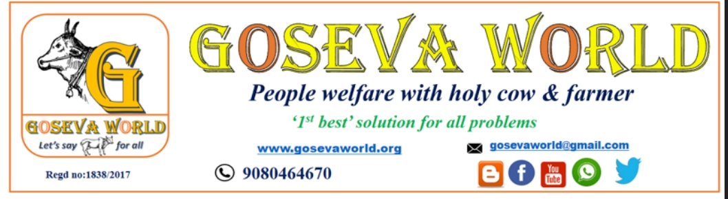 GOSEVA WORLD