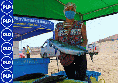 promueve funcionamiento mercados itinerante…