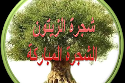 تفسير اية شجرة تخرج من طور سيناء
