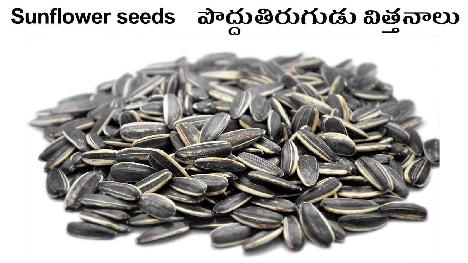 SEEDS VITHANAALU Picture Dictionary English Telugu