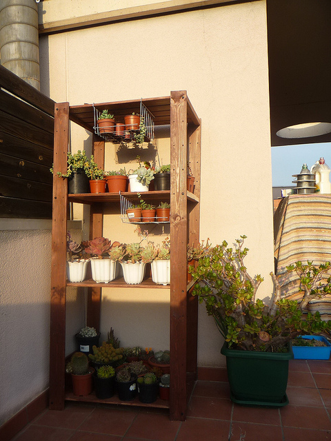 Mi entorno y mi rincón: Estanteria para tus plantas