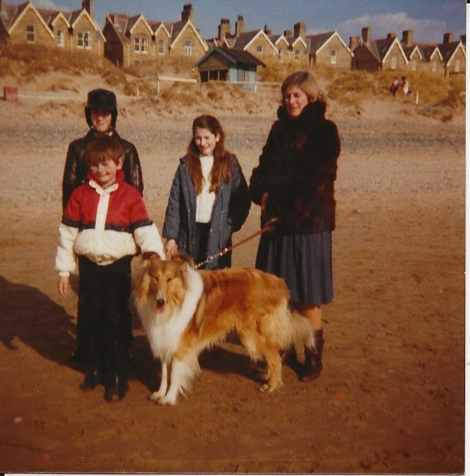 Lassie (1994 film) - Wikipedia