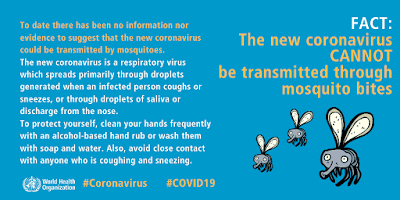 Coronavirus myths