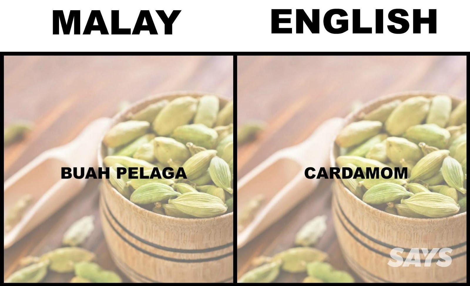 What's Ciku, Kedondong, Langsat And Buah Sukun In English?