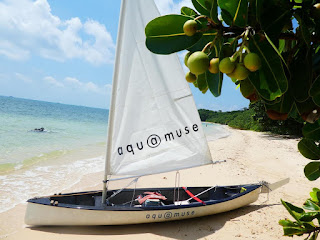 スポーツ マリンスポーツアクアミューズ141 スポーツ マリンスポーツアクアミューズ141