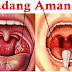 Tonsilitis atau Radang Amandel