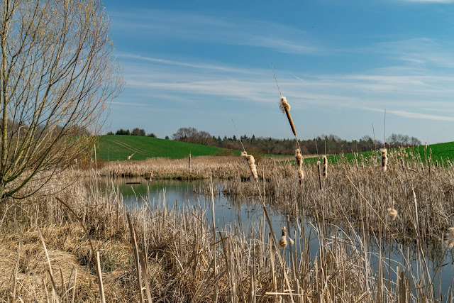 SeeGang Etappe 2 Wilde Tobel und alte Burgen: Von Wallhausen über den Bodanrück nach Bodman-Ludwigshafen | Premiumwanderweg Bodensee Konstanz 08