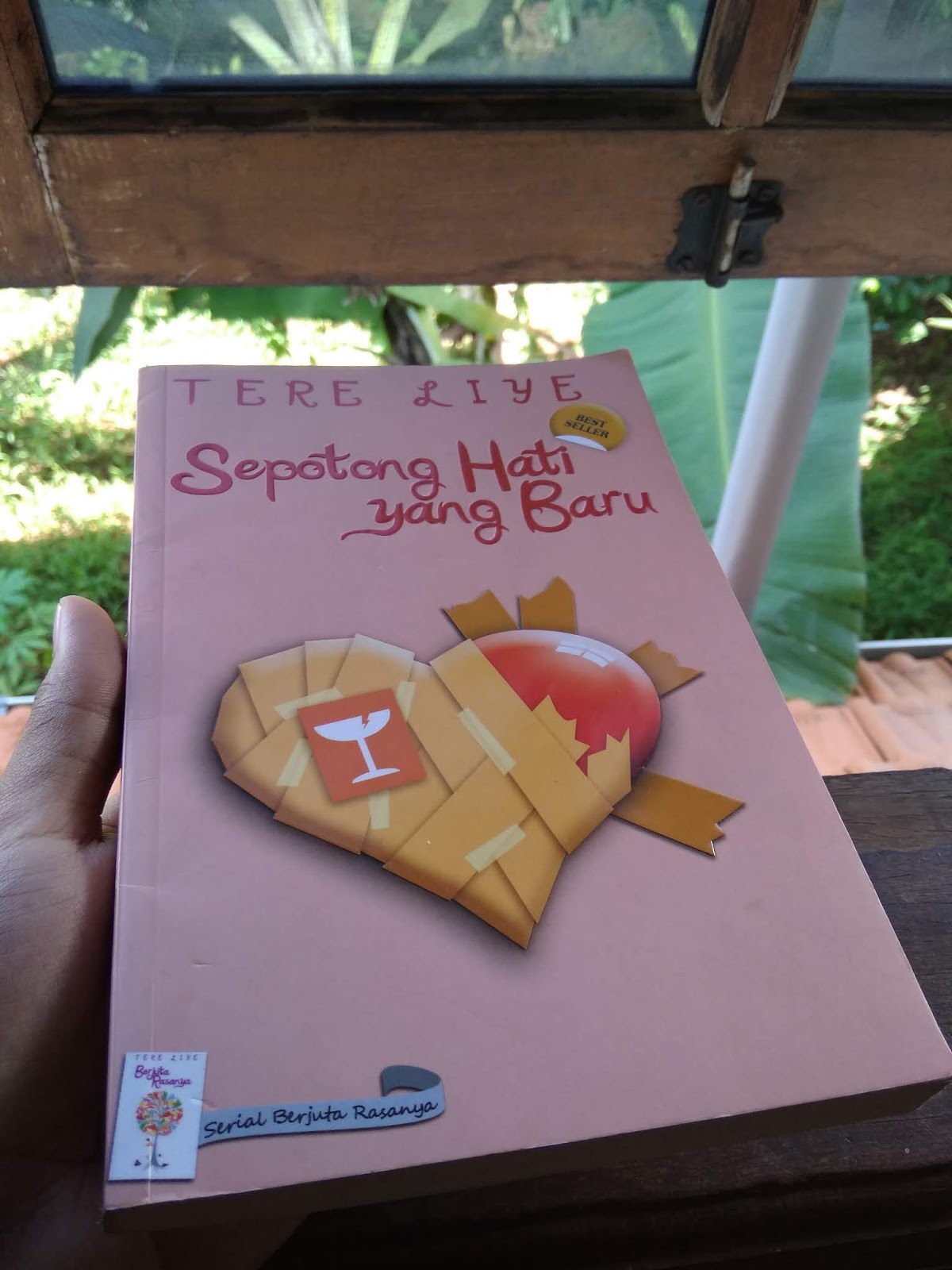 Review Buku Tere Liye Sepotong Hati Yang Baru