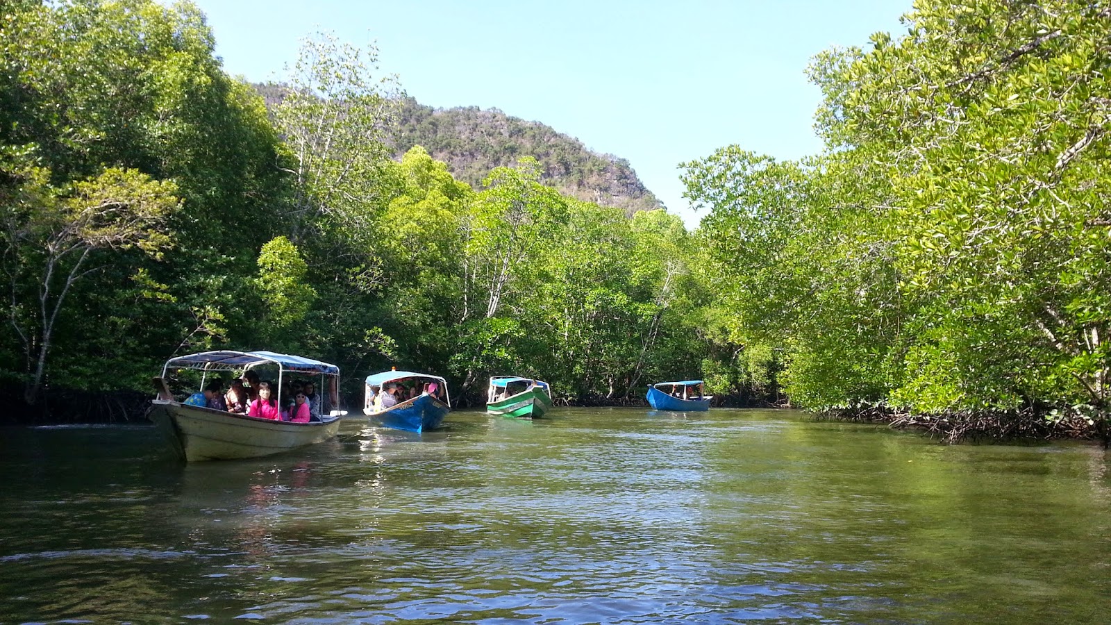 mangrove tour langkawi itinerary