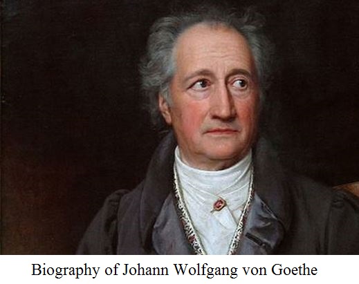 Goethe S Original Sketch Of His Morphology Concept Sketch Book