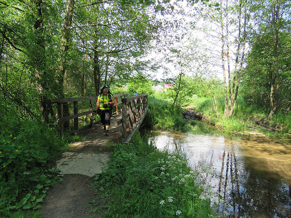 Tarnówka tarnowka