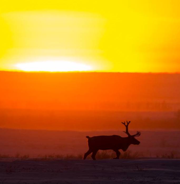 чудесный закат. свет солнца. стихи про море. джеймс аллен "путь мира". лунная дорожка фото.