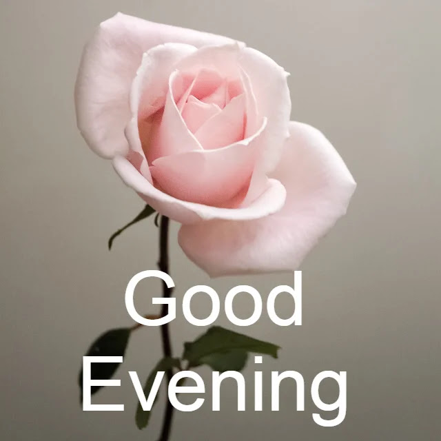 Good Evening Images Good Evening Images