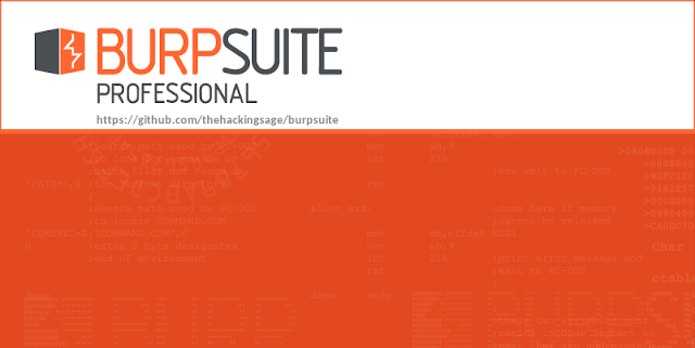 BurpSuite Pro, Plugins and Payloads by Mr.SAGE