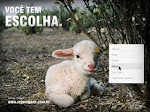 PAGINA FB PROTEÇÃO AOS ANIMAIS, VEGETARIANISMO, SAÚDE E AMBIENTALISMO - "EU NÃO COMO QUEM EU AMO"