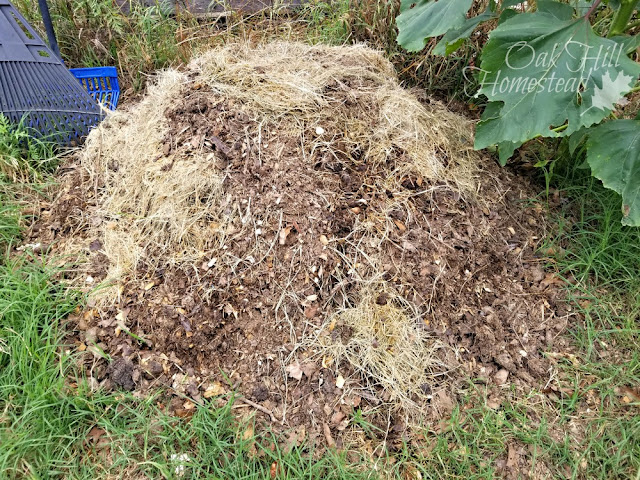 A compost pile covered with a layer of dried grass with a rake in the background.
