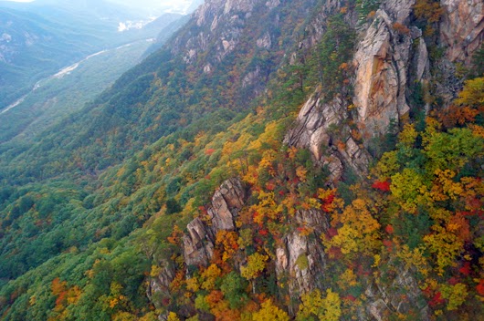 precipices and autumnal leaves closed on my gondola of the ropeway　